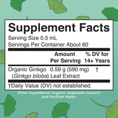 Close-up of Ginkgo biloba leaves used in the formula