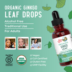 Ginkgo leaf illustration and product packaging on white background