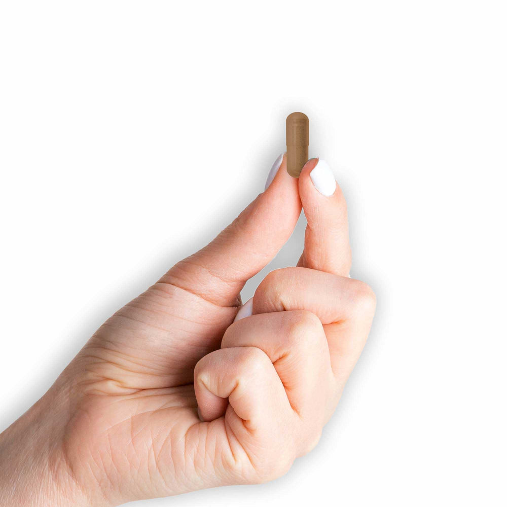 Instruction: take one capsule daily with food for wellness