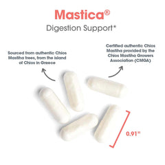 Mastica Gum capsules packaging and bottle