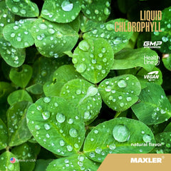 Maxler Chlorophyll Liquid bottle – back label