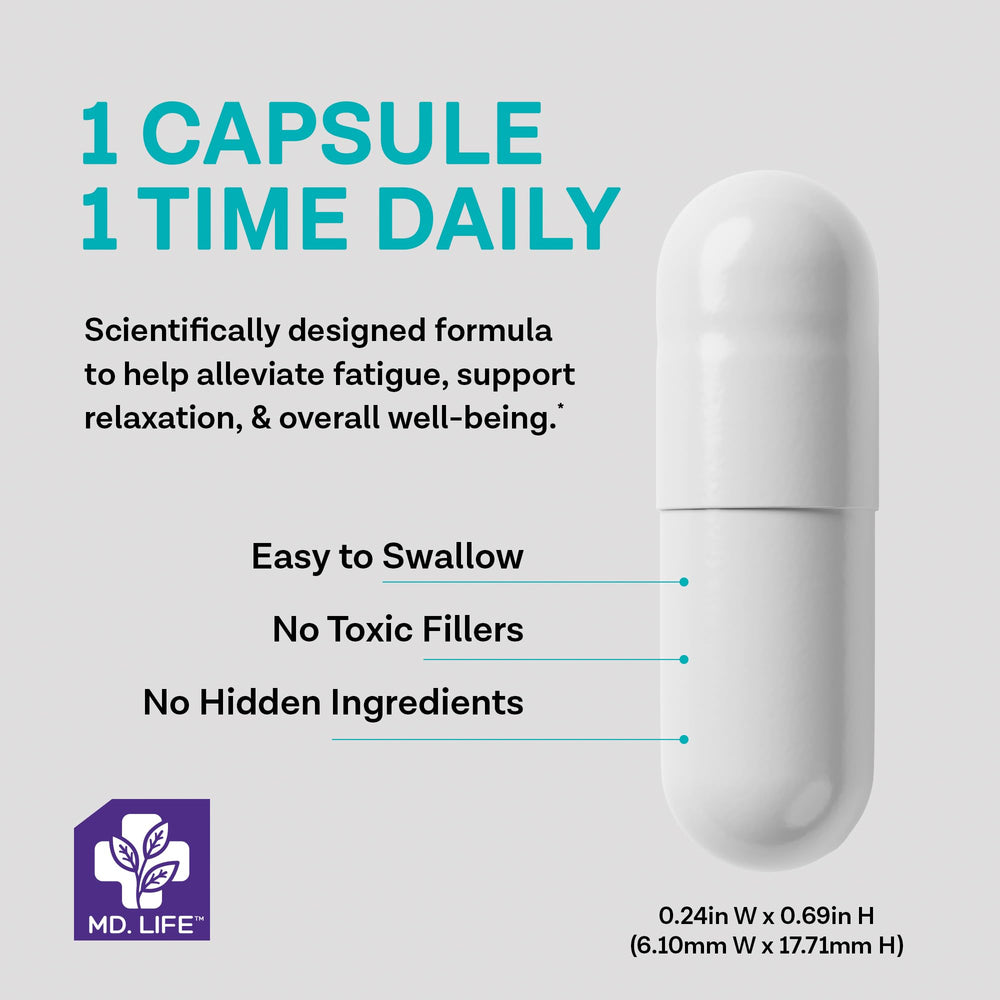 Phosphatidylserine and L-theanine visual representation