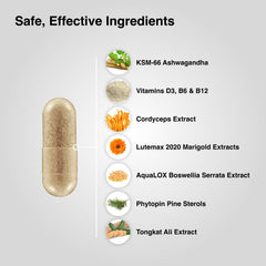 Mdrive Classic beta-sitosterols graphic underscores prostate support ingredients