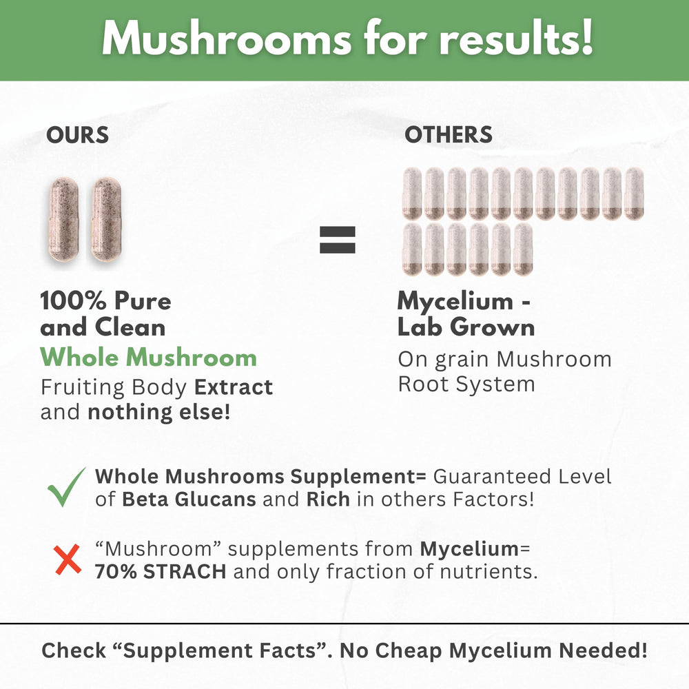 Assorted medicinal mushrooms including Lions Mane, Cordyceps, Reishi
