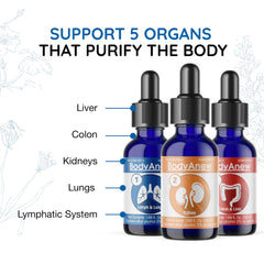 MediNatura BodyAnew Cleanse in morning glass supporting vitality.