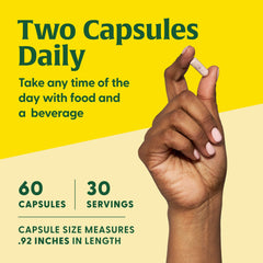 Graphic showing 14 probiotic strains