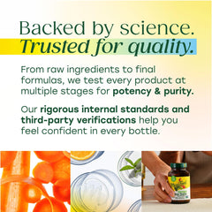 Ingredients highlight vitamin C, B12, and folic acid in Blood Builder.