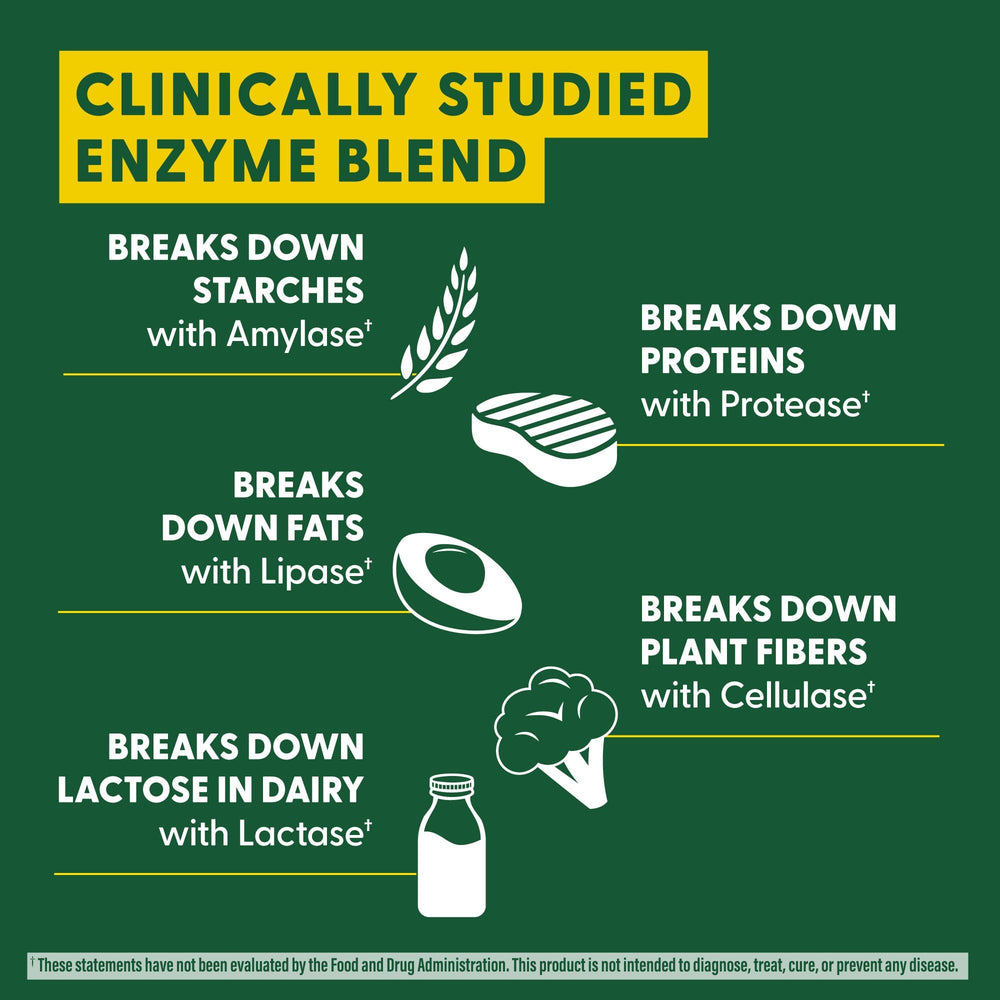 Diagram showing digestion and nutrient absorption support