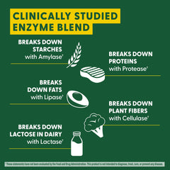 Diagram showing digestion and nutrient absorption support