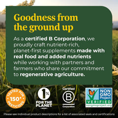 Digestive health concept image highlighting gut health, gas relief, and bloating relief