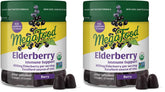 Hero image: MegaFood Elderberry Immune Support Gummies in a two-pack