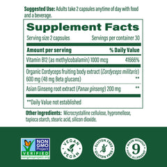 Cordyceps mushroom fruiting bodies close-up