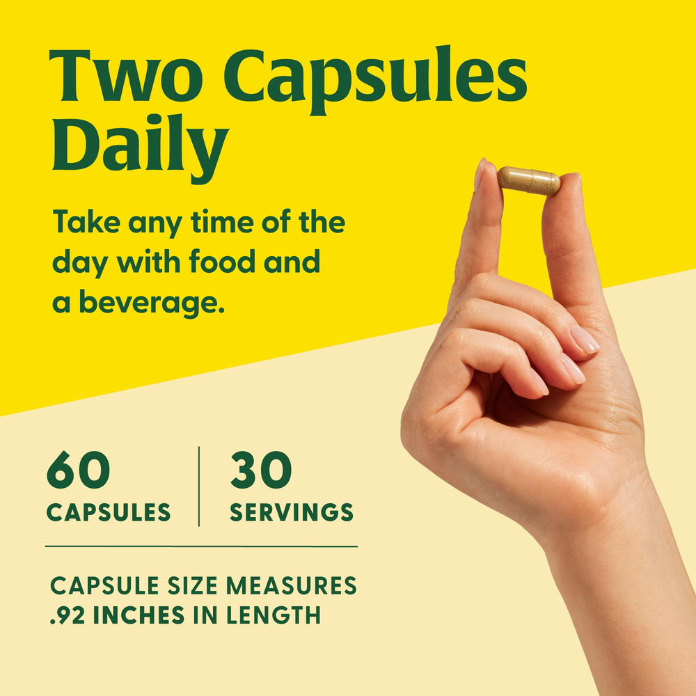 Greenhouse grown Lion's Mane mushrooms on natural substrates