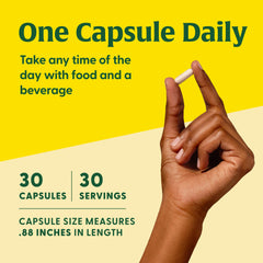 Plant-based prebiotic ingredients illustration