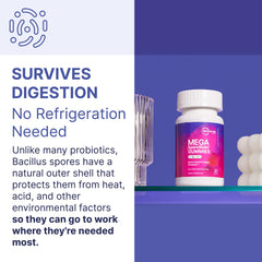Label of MegaSporeBiotic Gummies bottle