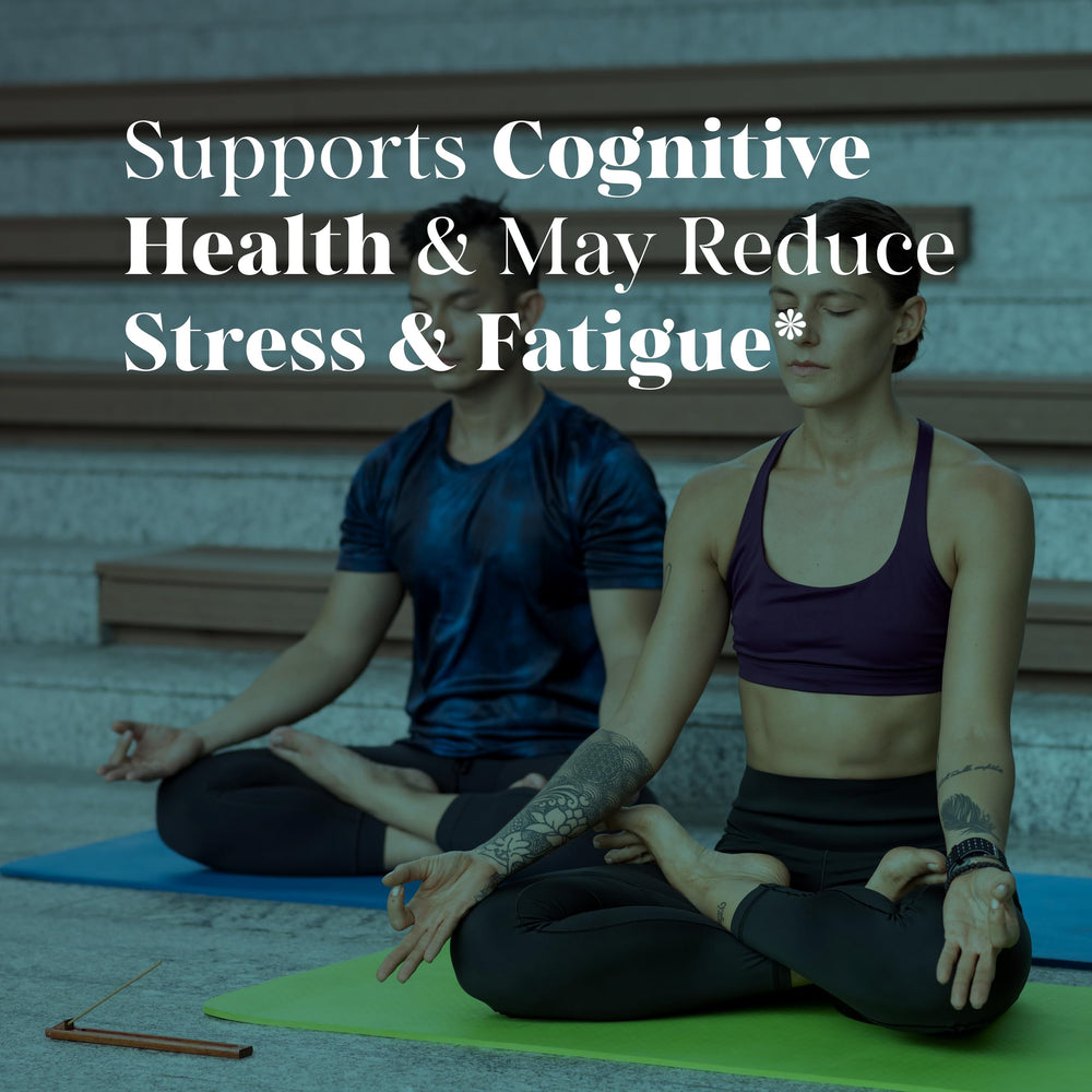 Supplement facts panel for MEIBOTAN L Tyrosine