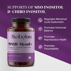 Illustration of hormonal balance and ovarian function support