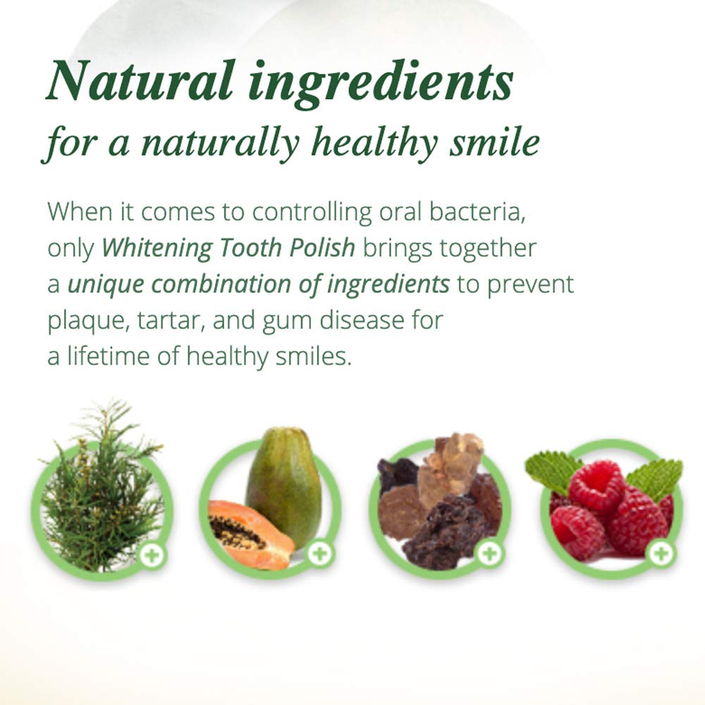 Xylitol and papain ingredients label for Melaleuca toothpaste polish