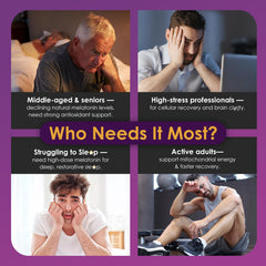 Antioxidant blend including resveratrol and turmeric for DNA protection