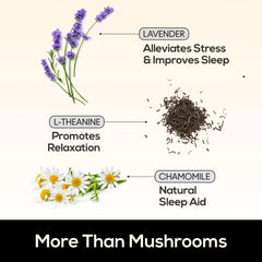 Melatonin with botanicals like lavender, chamomile, magnesium, and l-theanine