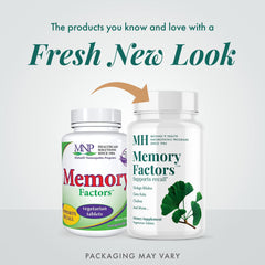 Ginkgo biloba leaf close-up