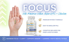 Memory and focus boost brain schematic