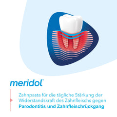 Meridol Parodont Expert toothpaste with branding close-up