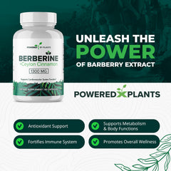 Close-up of berberine and cinnamon for metabolism support
