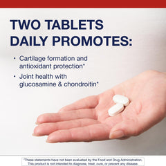 Illustration of knee joint mobility and flexibility