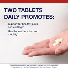 Graphic of Metagenics Glucosamine Sulfate label highlighting dosage