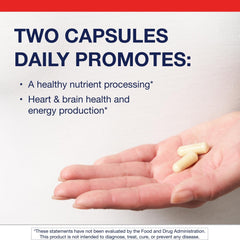 Methyl B12 and B vitamins illustration