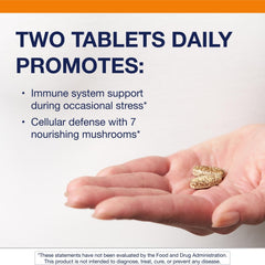 Shiitake mushroom included in the Mycotaki blend