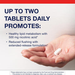 Extended-release Niacin B3 500 mg dosage illustration