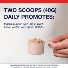 Metagenics Perfect Protein Pea & Rice chocolate in a glass shake with smooth texture