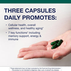 Illustration showing over 20 vitamins and minerals in PhytoMulti