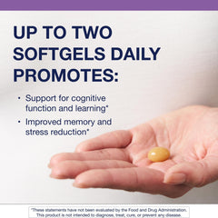 Softgel capsule containing 150 mg phosphatidylserine from sunflower lecithin
