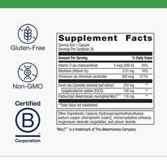 Metagenics UltraFlora Akkermansia closeup highlights the gut-mucus interaction benefit.