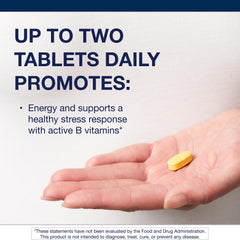 B vitamins for stress response and nervous system support