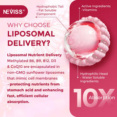 Close-up of ingredients: B12, B6, B9, CoQ10, PQQ