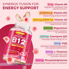 CoQ10 and PQQ components highlighted