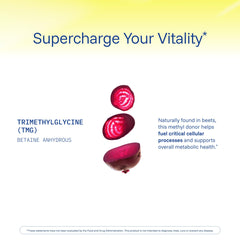 Methylation support graphic showing DNA repair and energy