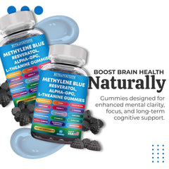 Acetyl-L-Carnitine and omega-3 sources in the formula