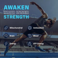 GMP-certified USA manufacturing facility