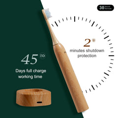 Two bamboo toothbrush heads with natural bristles