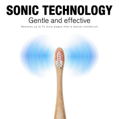 Family-friendly toothbrush with replaceable heads