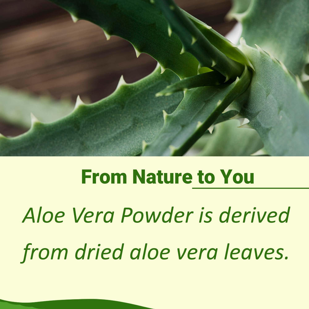Mi Nature Aloe Vera powder 227g back view
