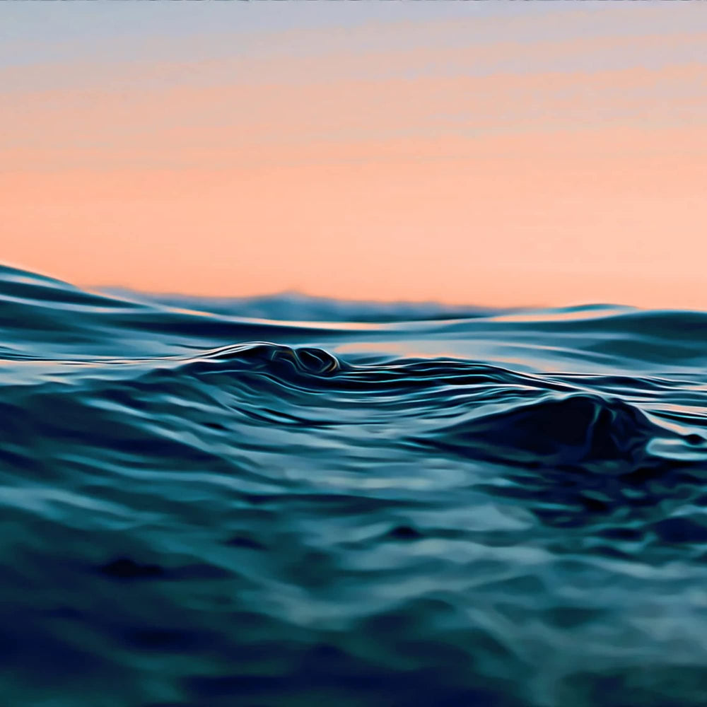 MICHAEL'S Water Balance Factors ingredient panel, includes potassium and vitamin B6 for balance.