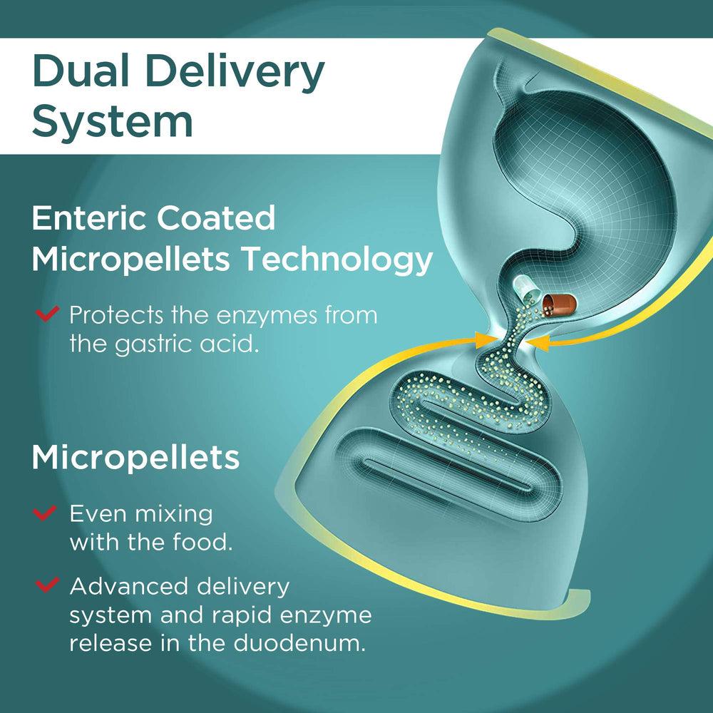 Manufacturing in FDA-registered EU GMP facility with ISO 9001 and ISO 13485