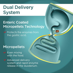Manufacturing in FDA-registered EU GMP facility with ISO 9001 and ISO 13485