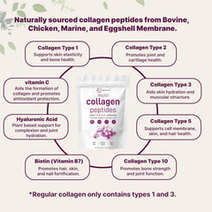 Sources of collagen: bovine, chicken, marine, and eggshell membrane